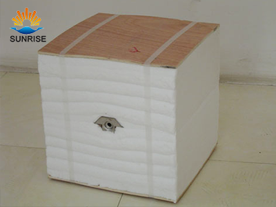 ceramic fiber module